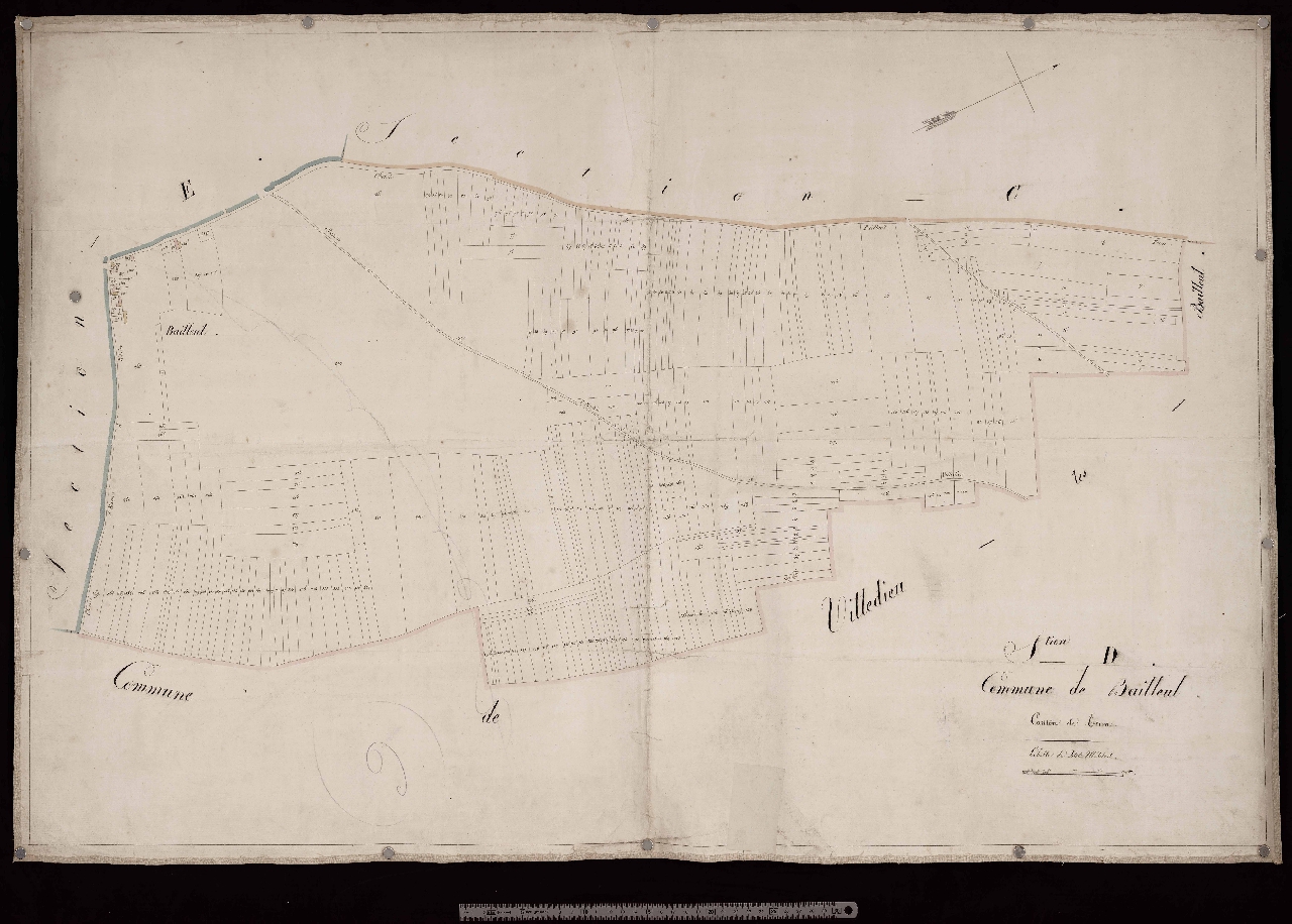 Section D