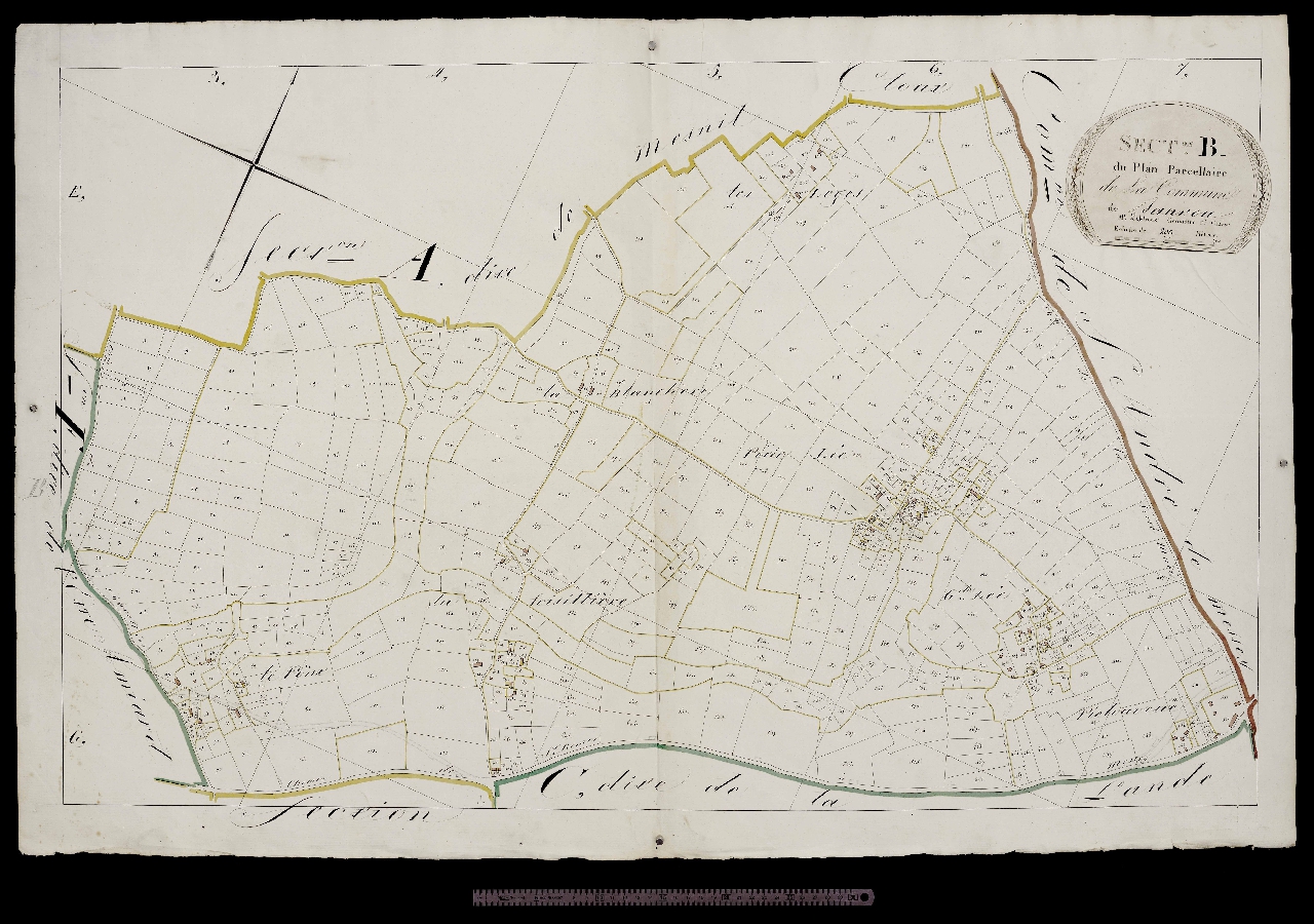Section B