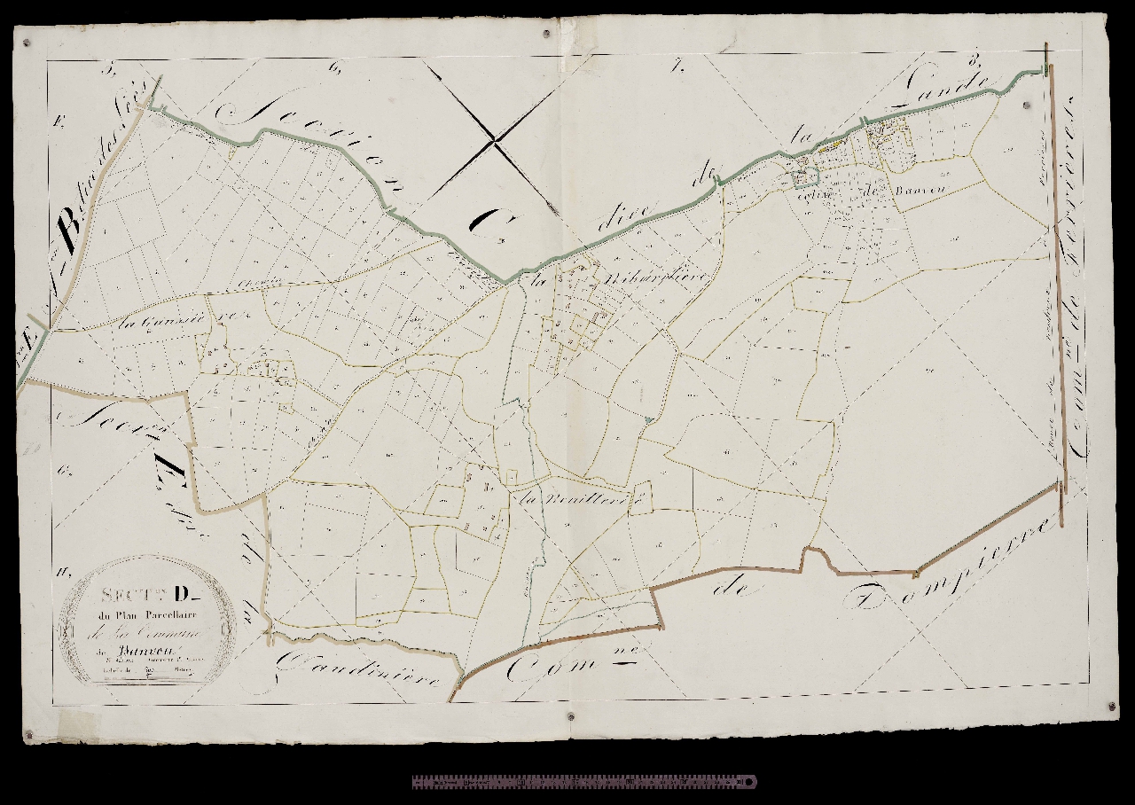 Section D