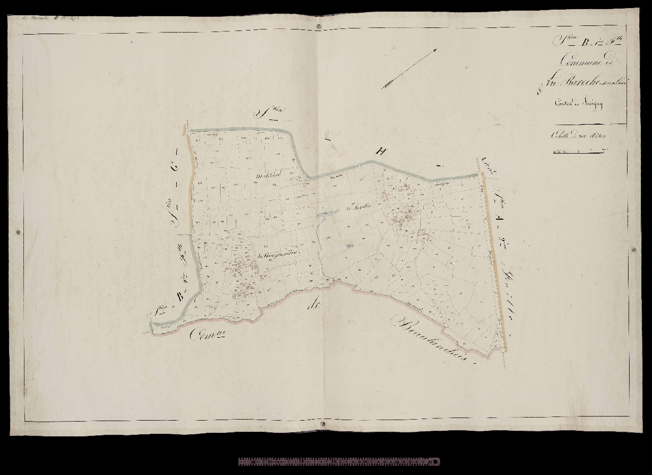 Section B1