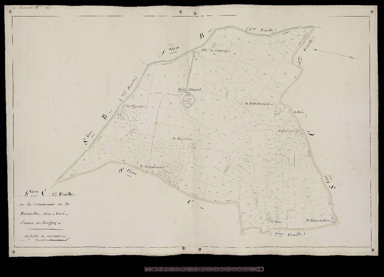 Section C1