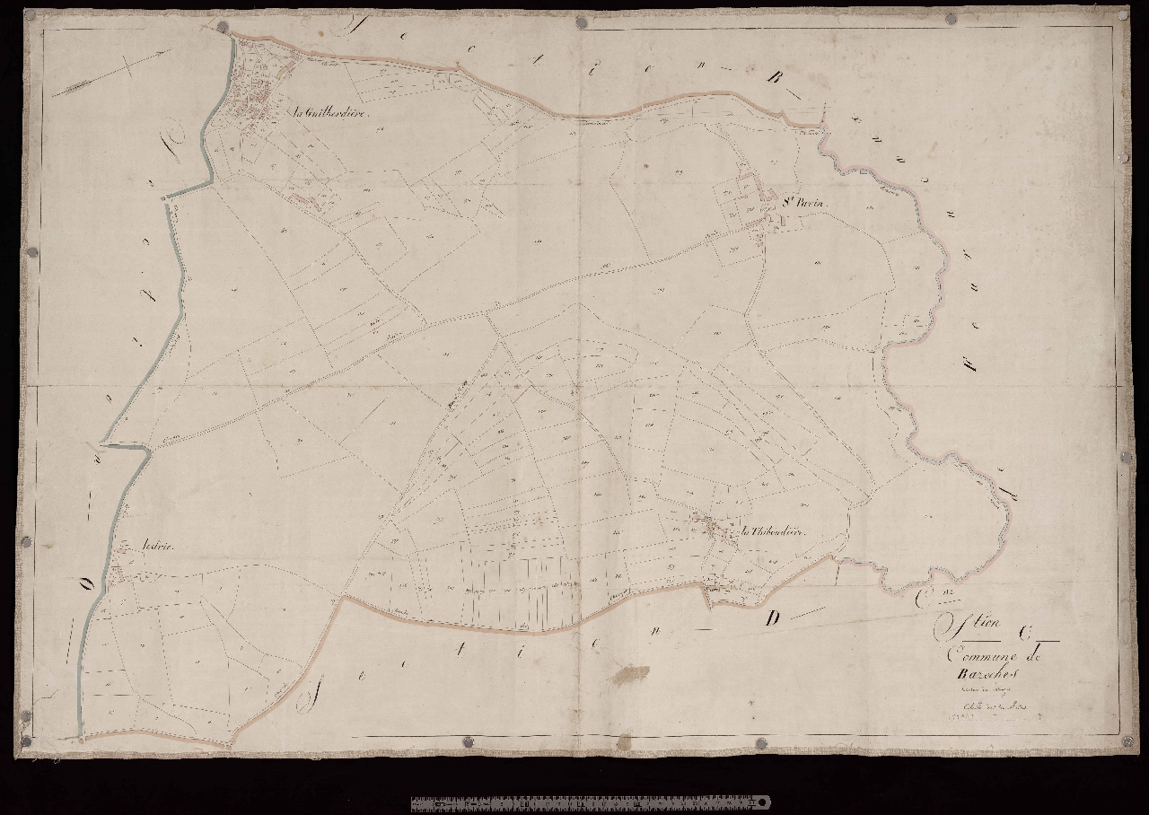 Section C