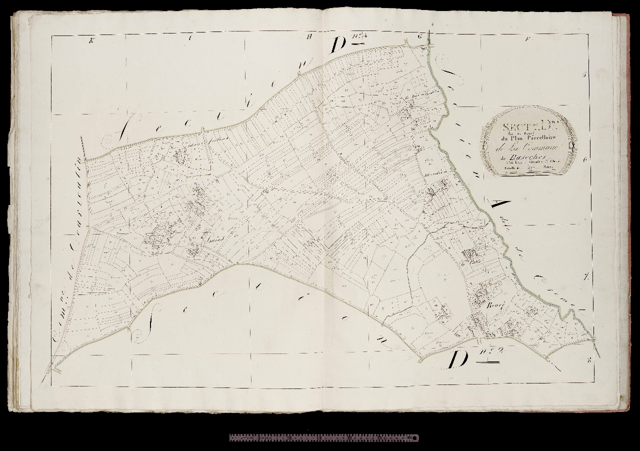 Section D3