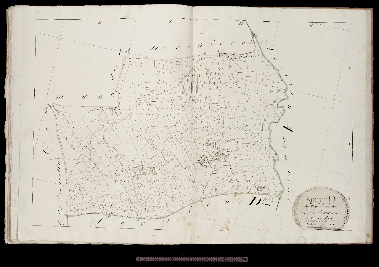 Section D4