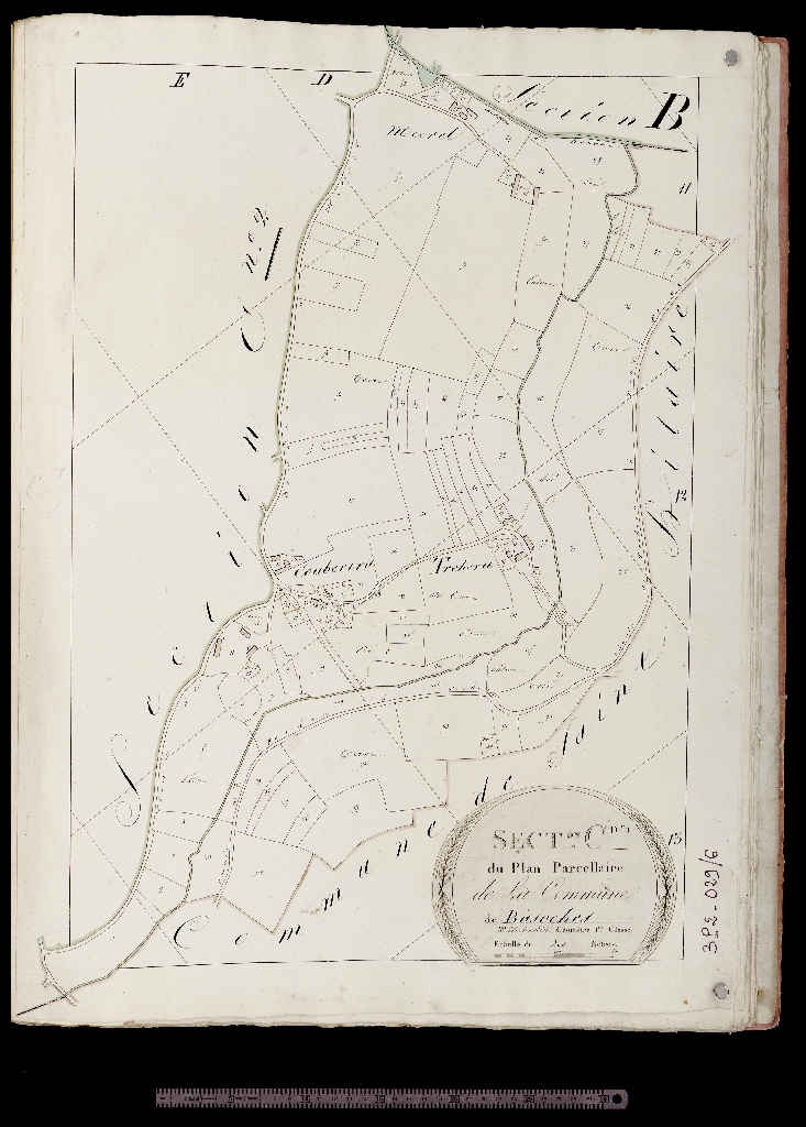 Section C1