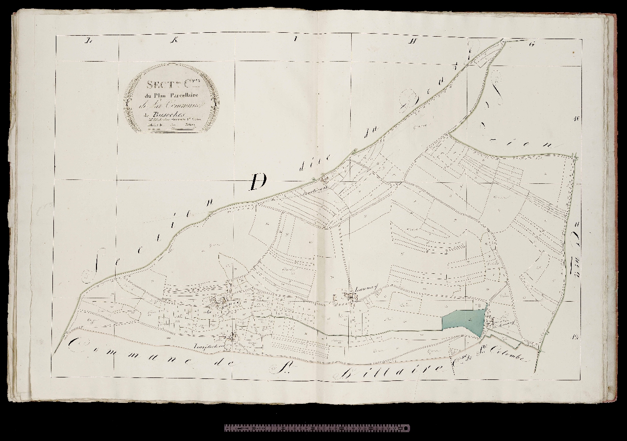 Section C3