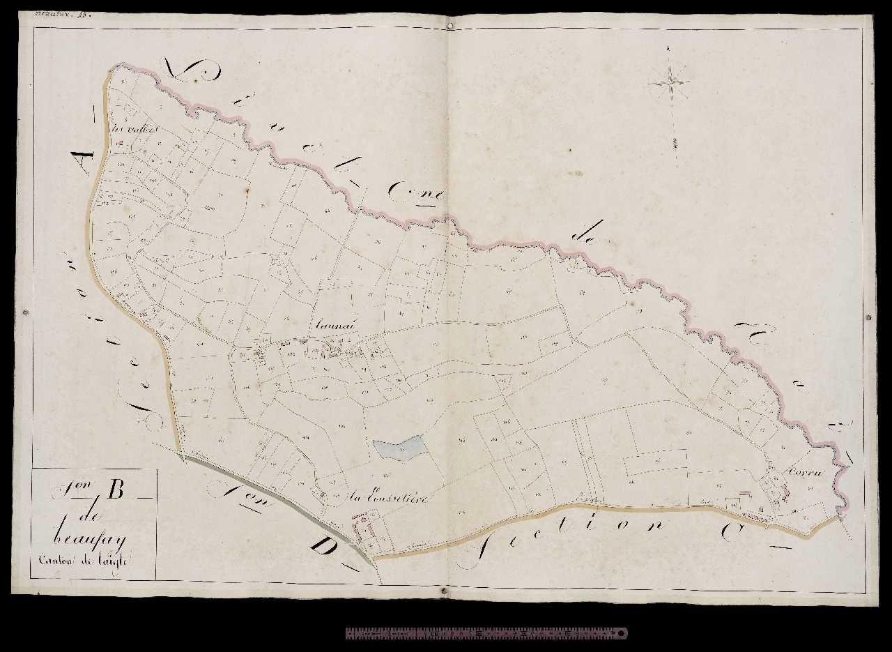 Section B