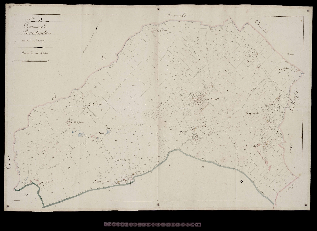 Section A