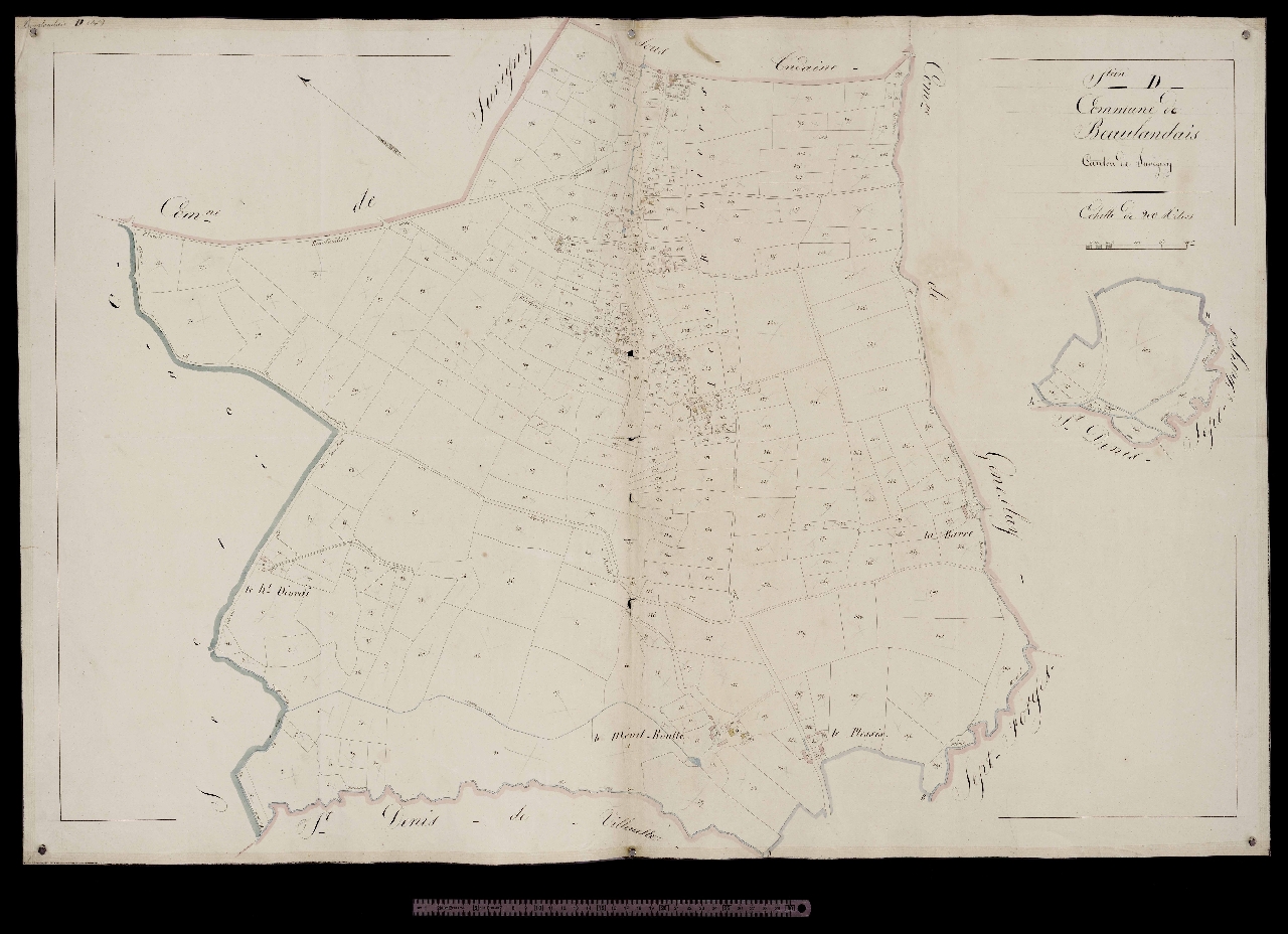 Section D