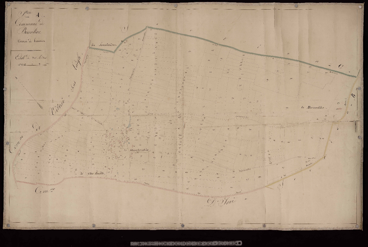 Section A