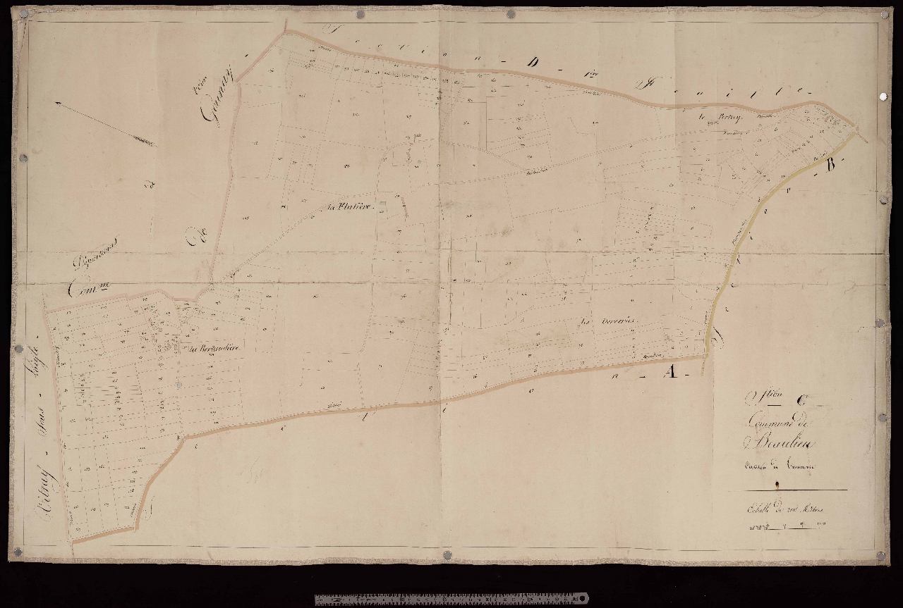 Section C