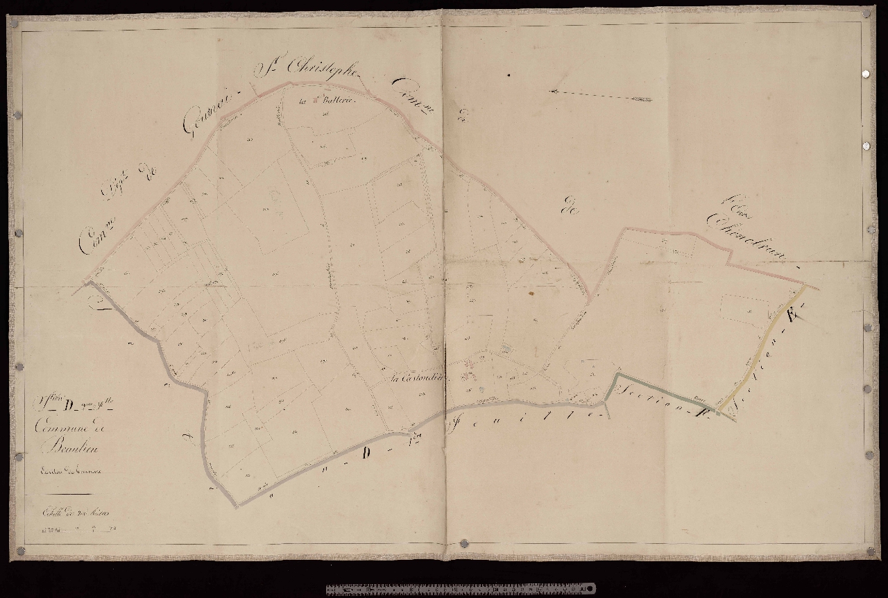 Section D2