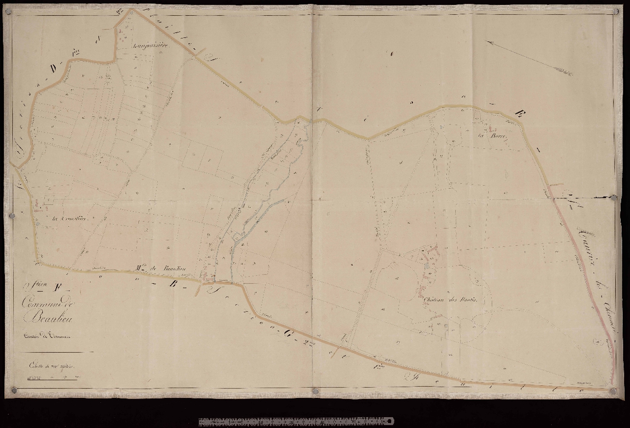 Section F 