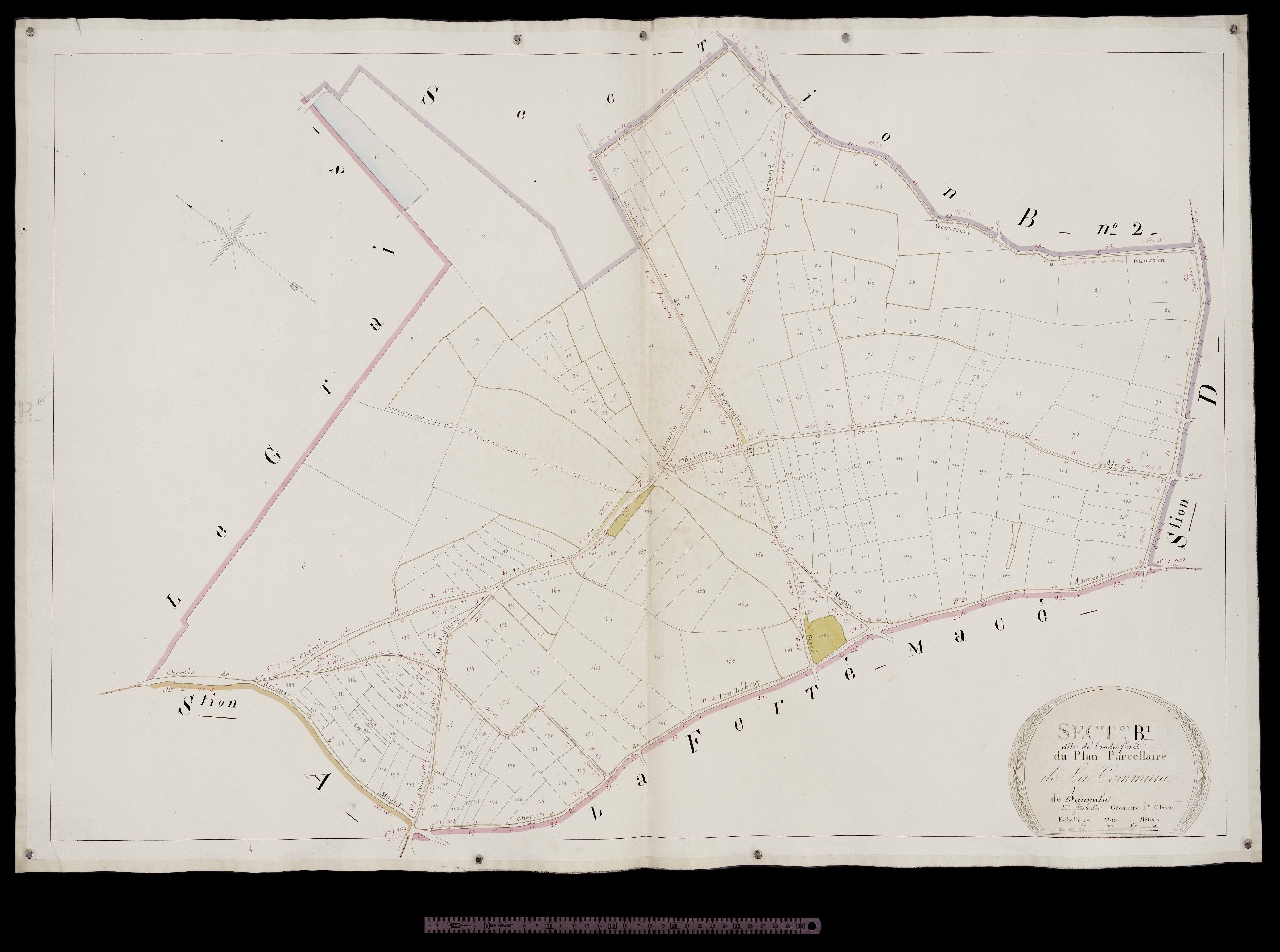 Section B1