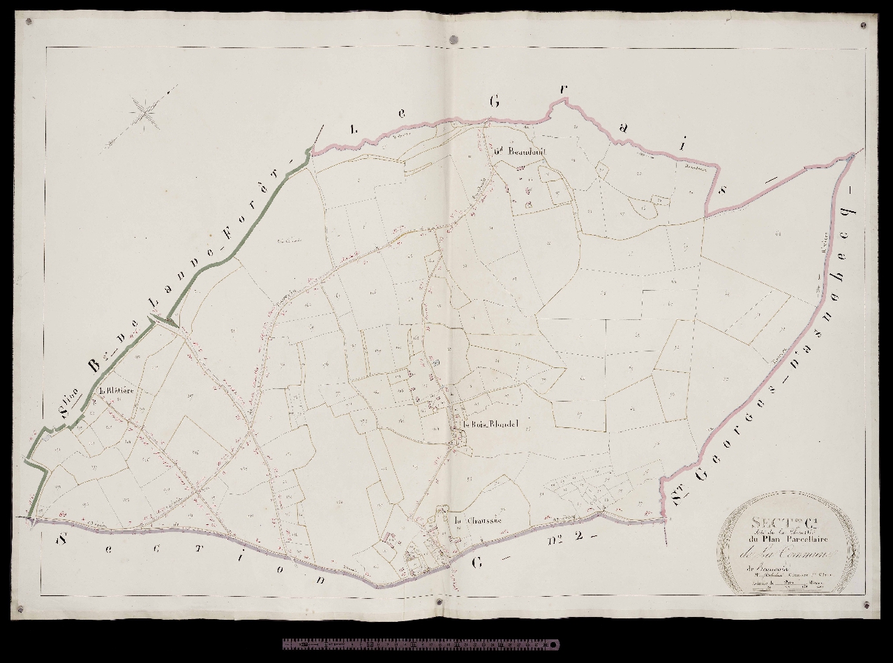 Section C1