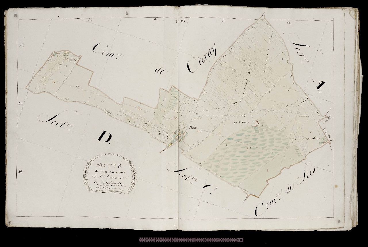 Section B