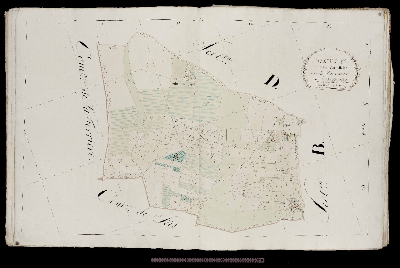 Section C