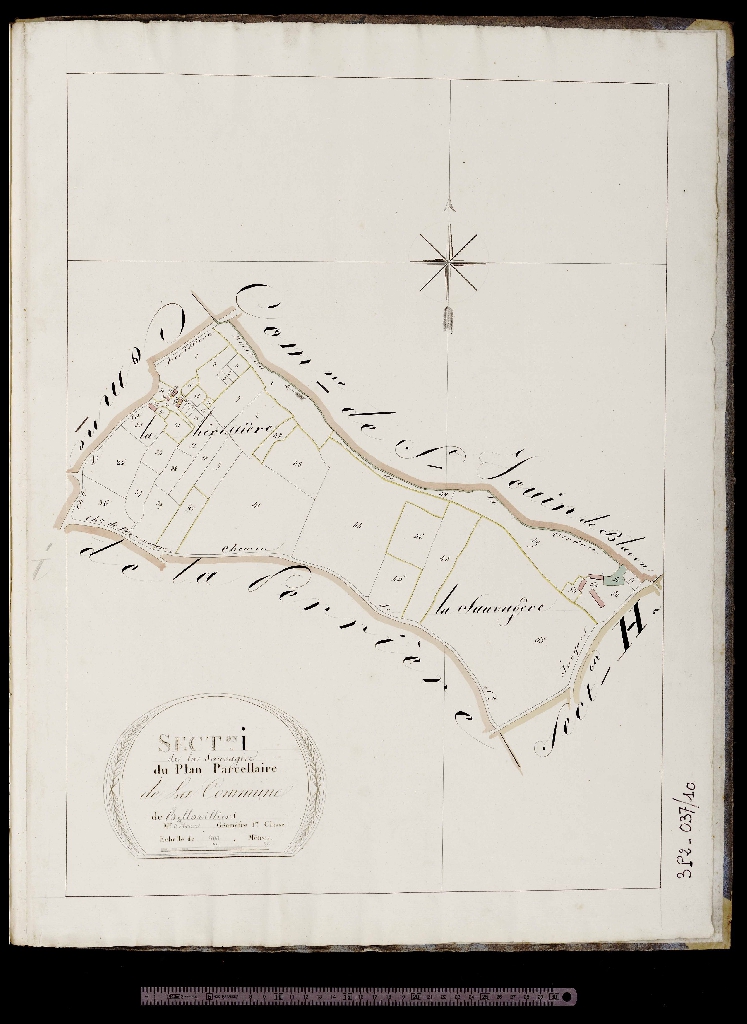Section I 