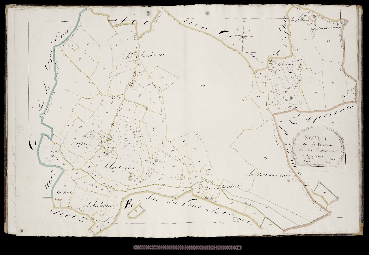 Section D