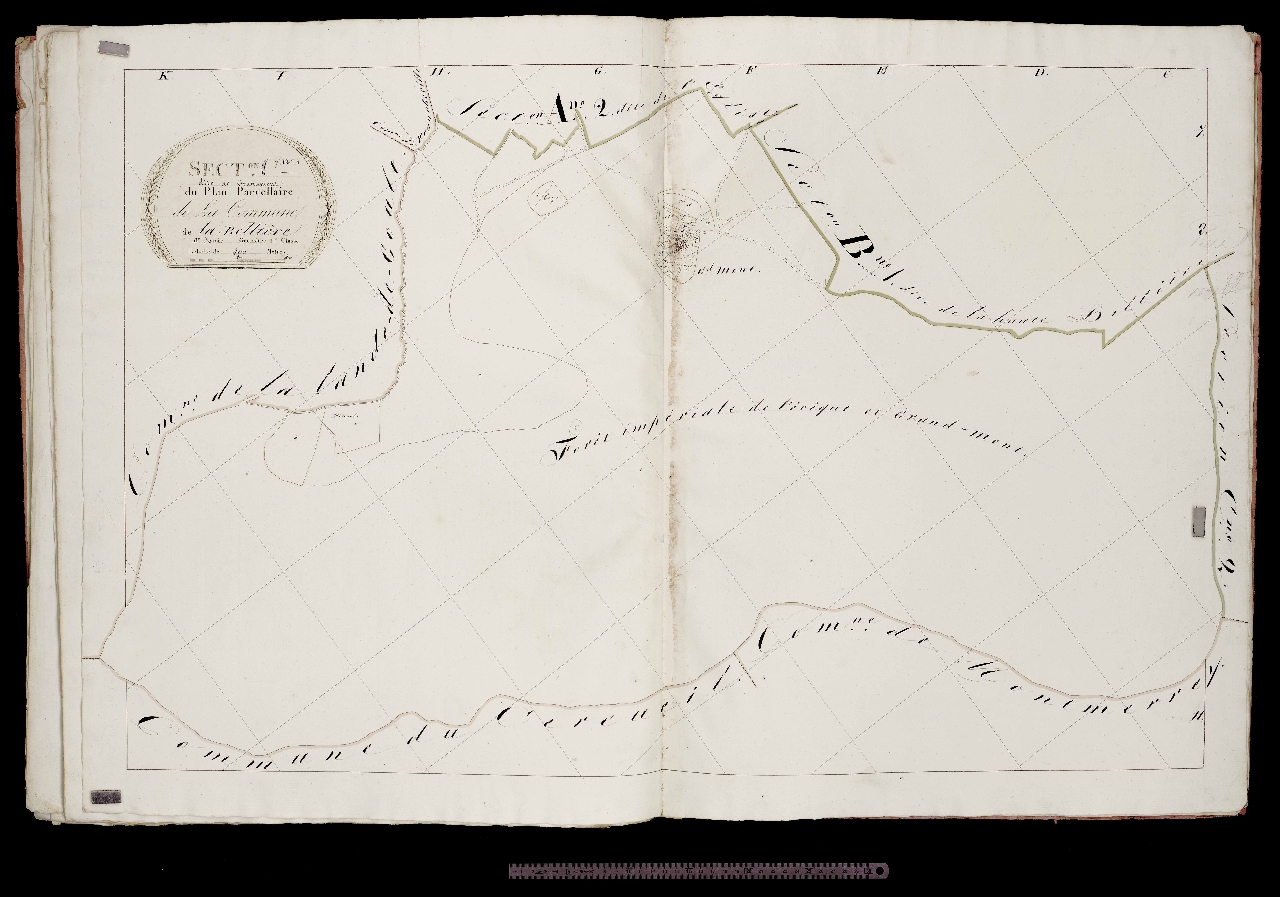 Section C1