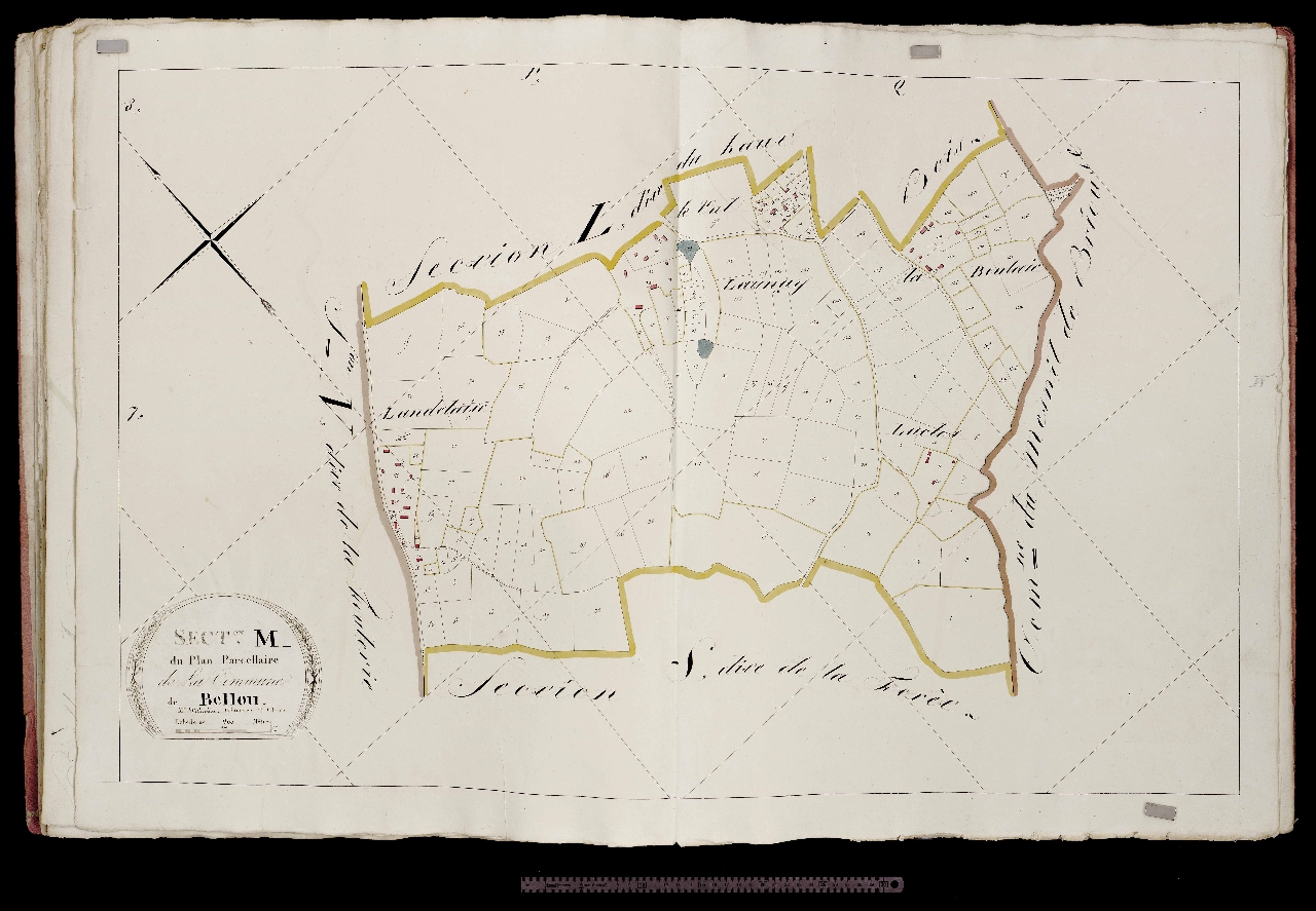 Section M