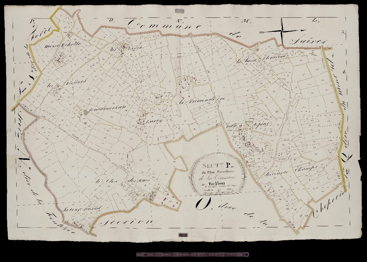 Section P