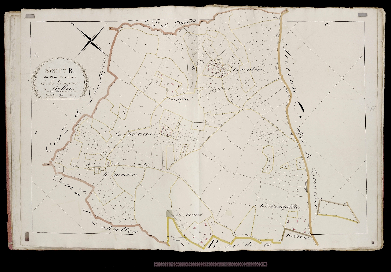 Section B