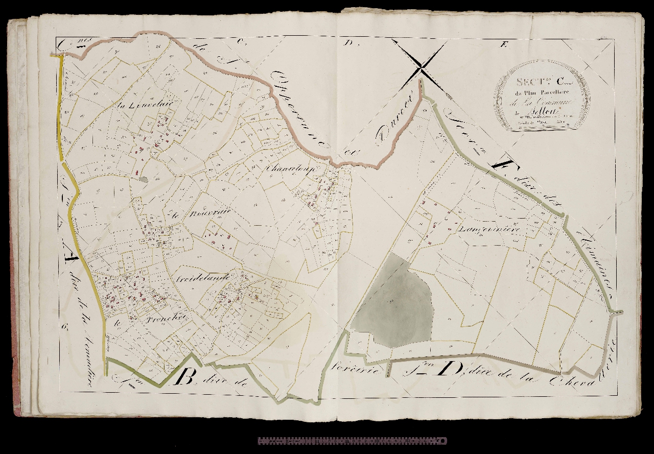 Section C