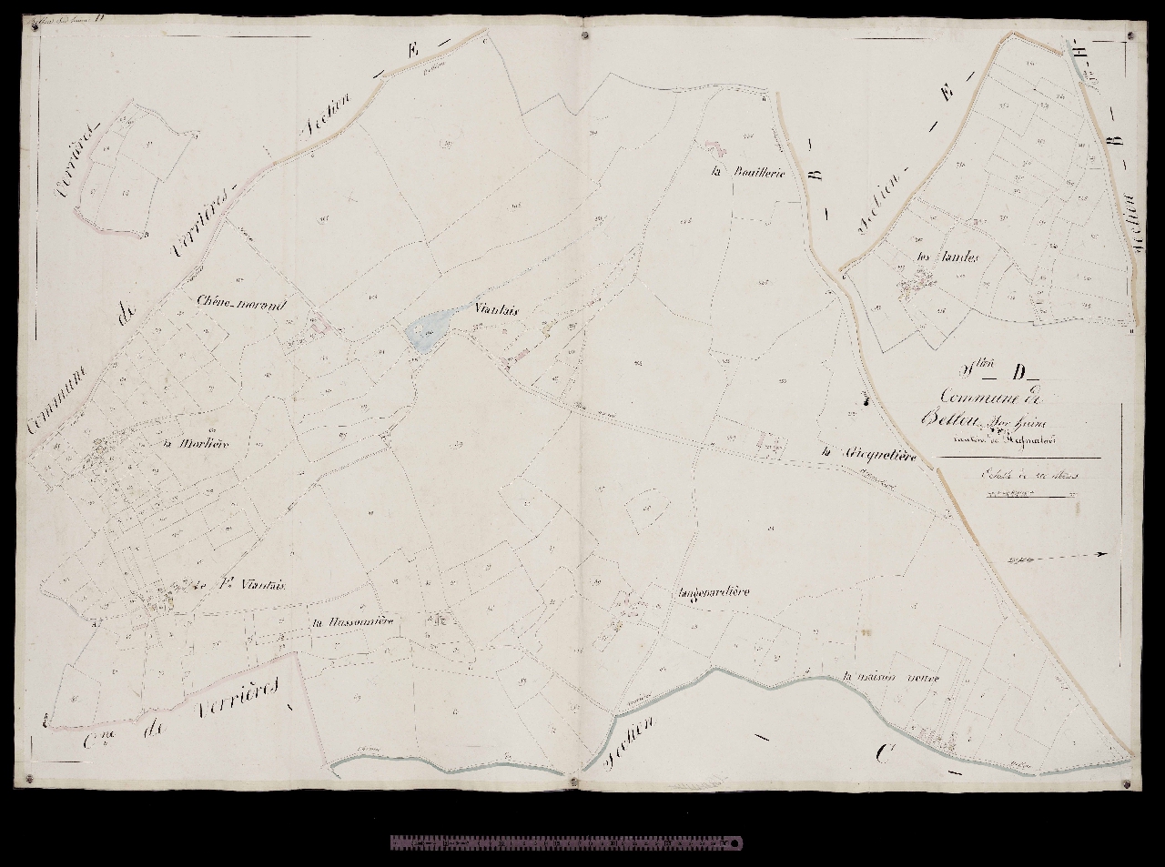 Section D