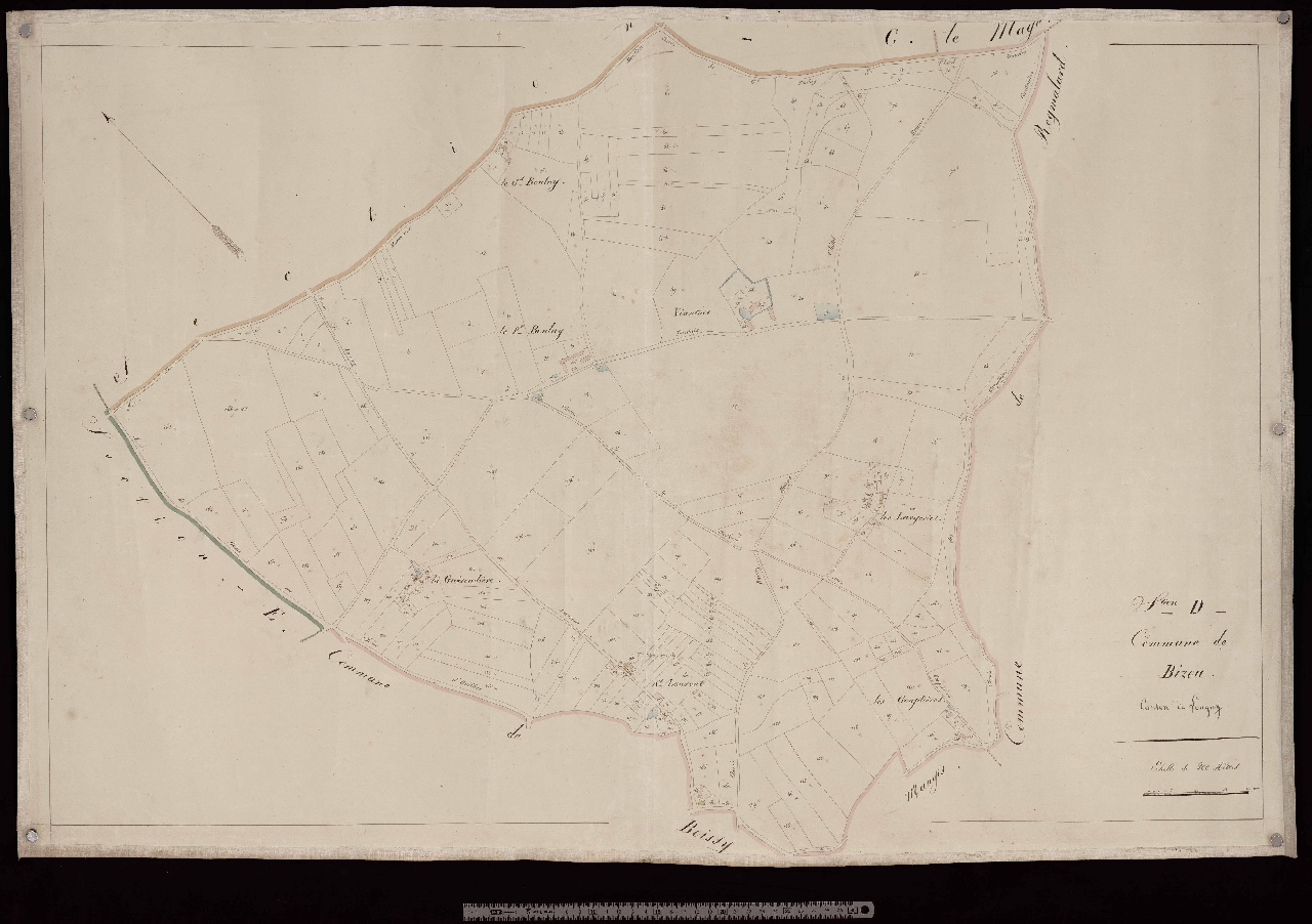 Section D