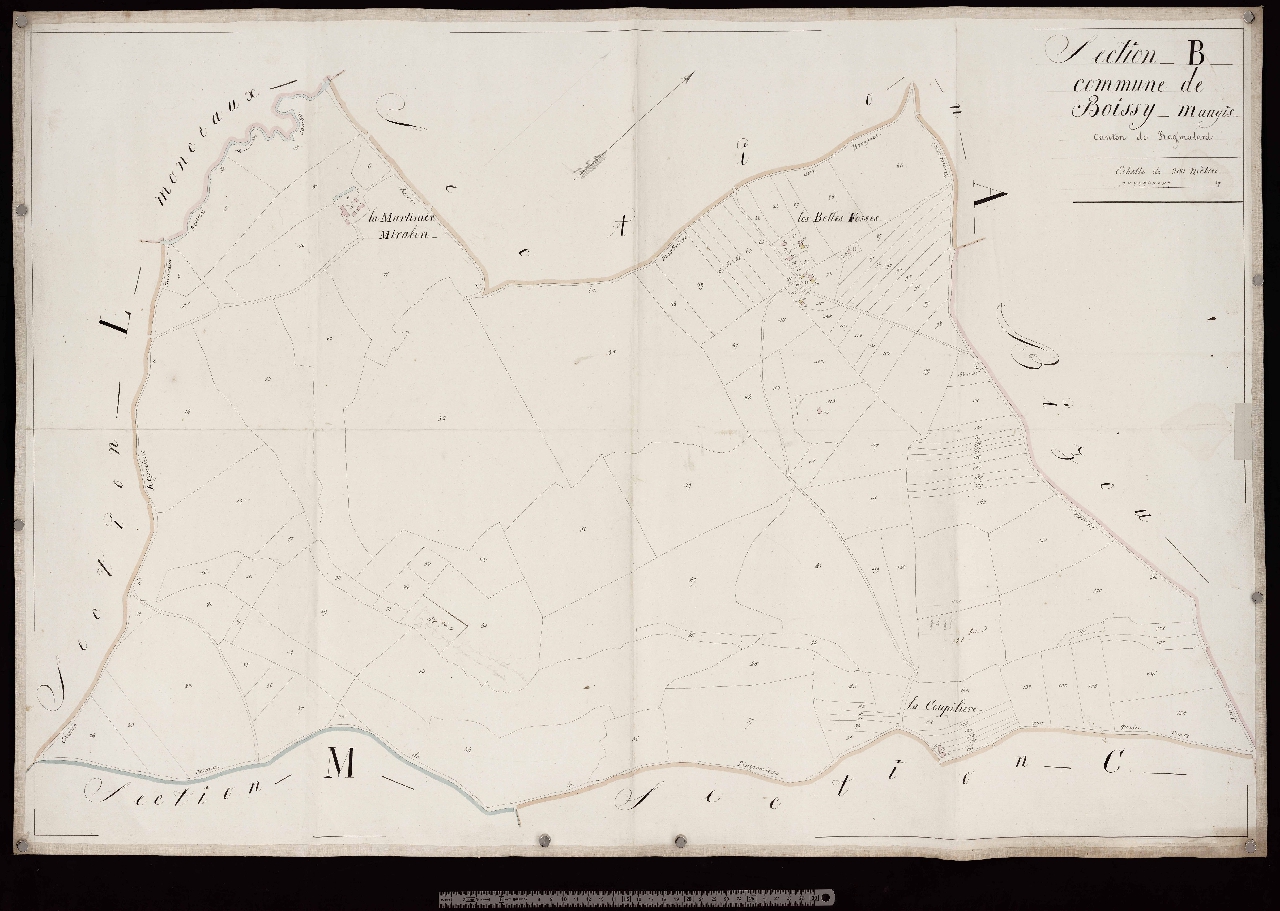 Section B