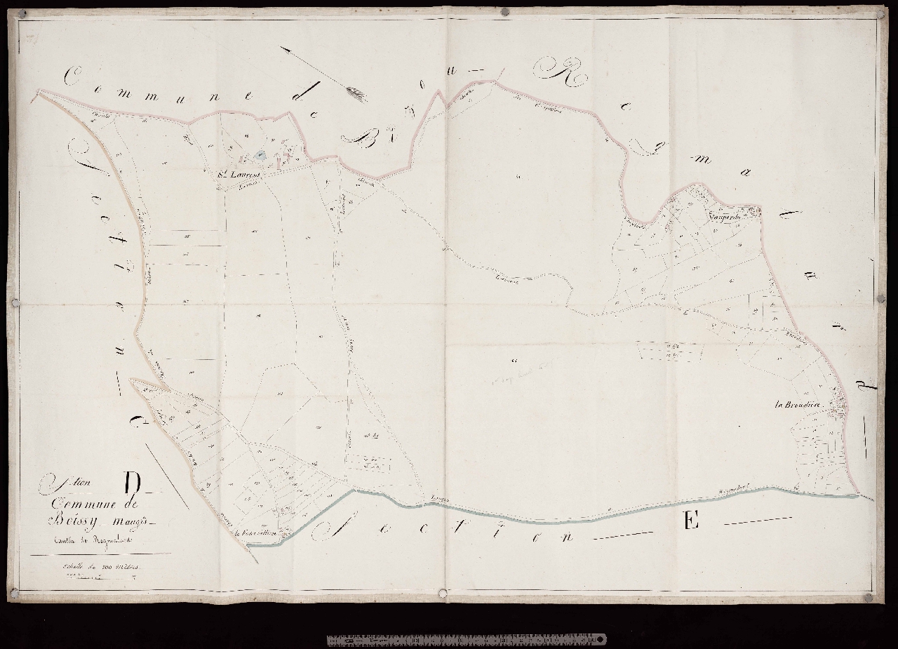 Section D