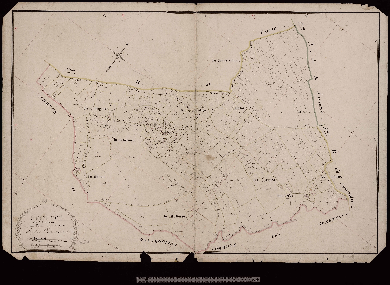 Section C