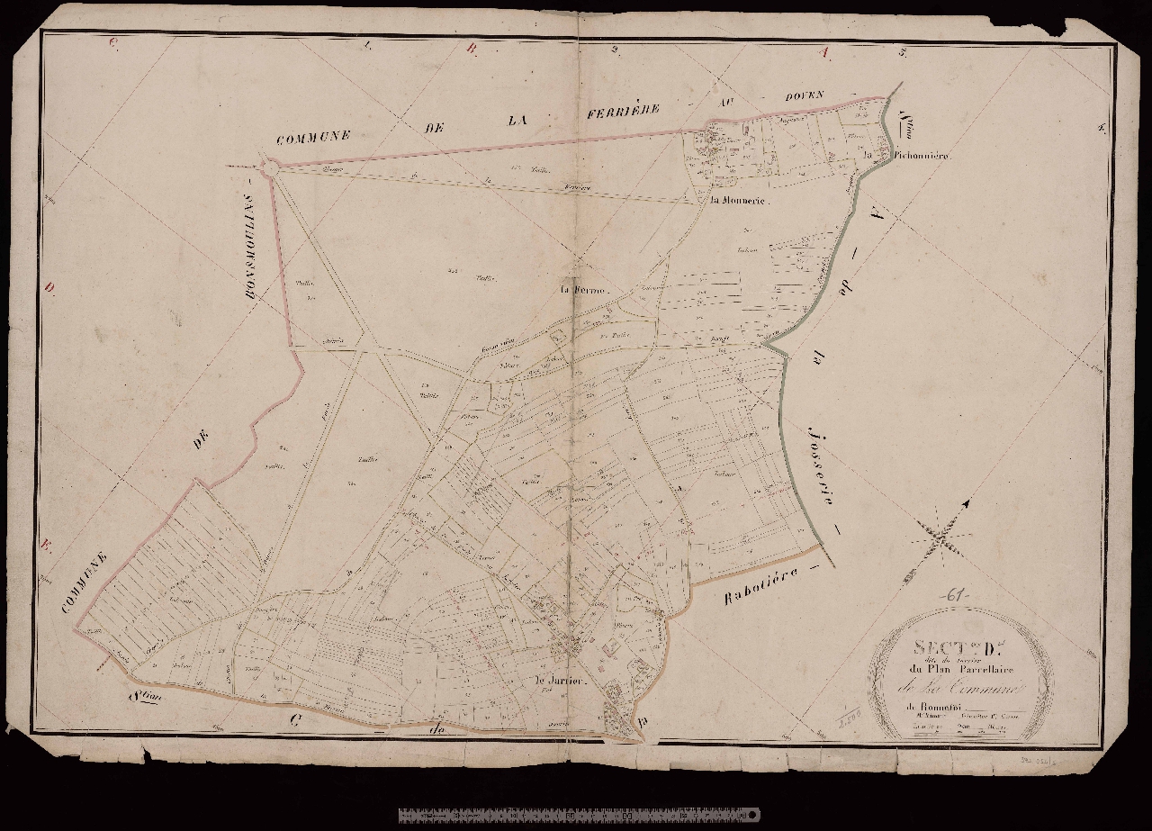 Section D
