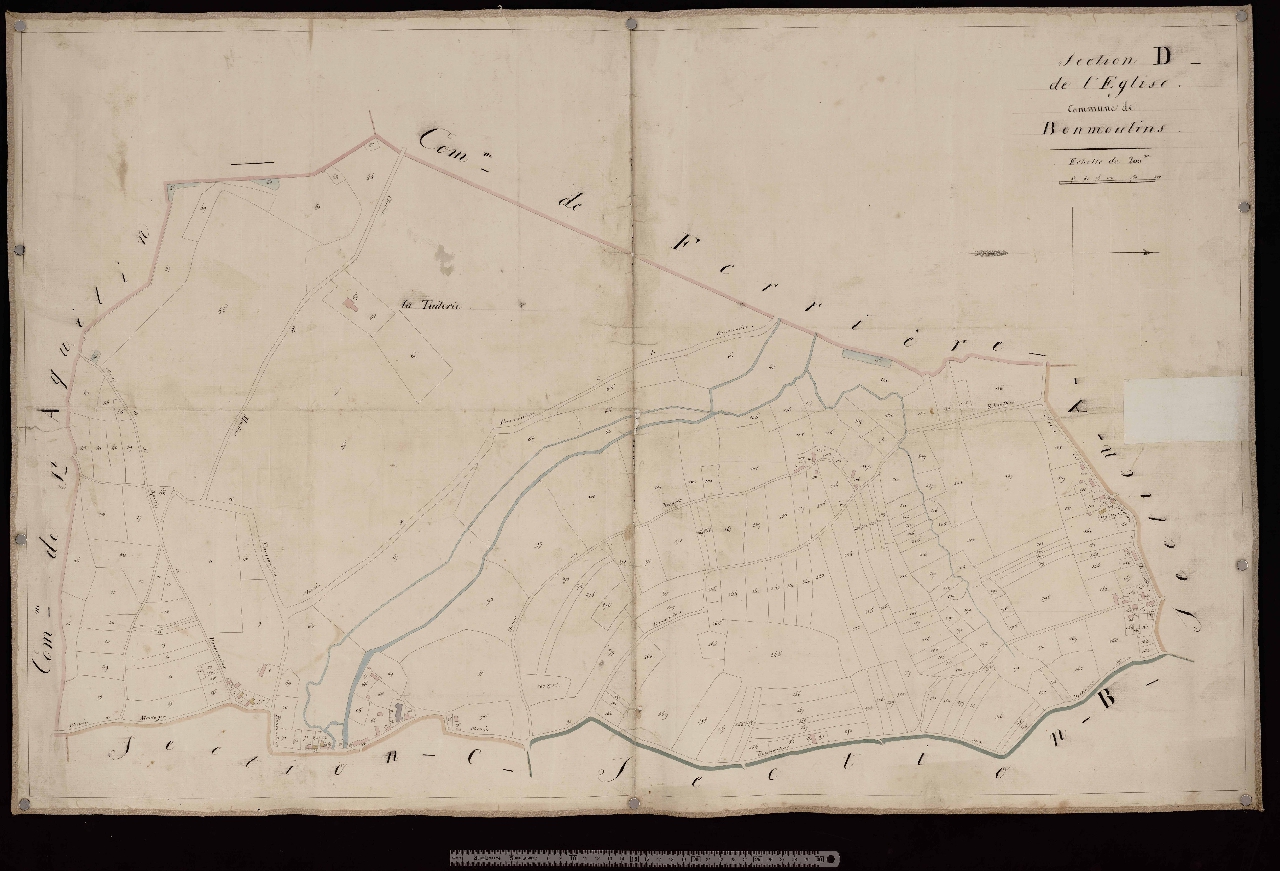 Section D