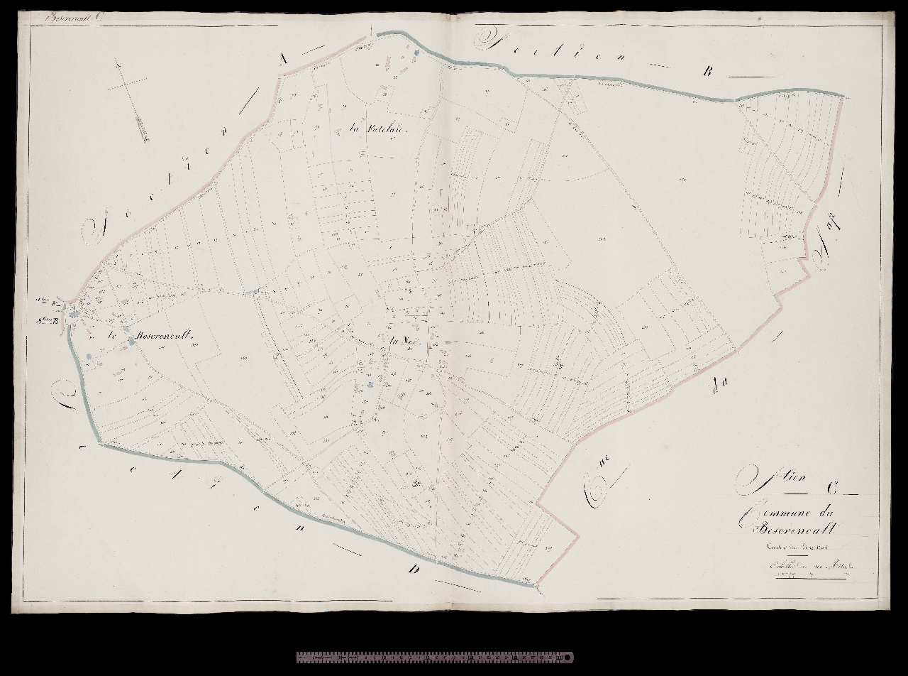 Section C