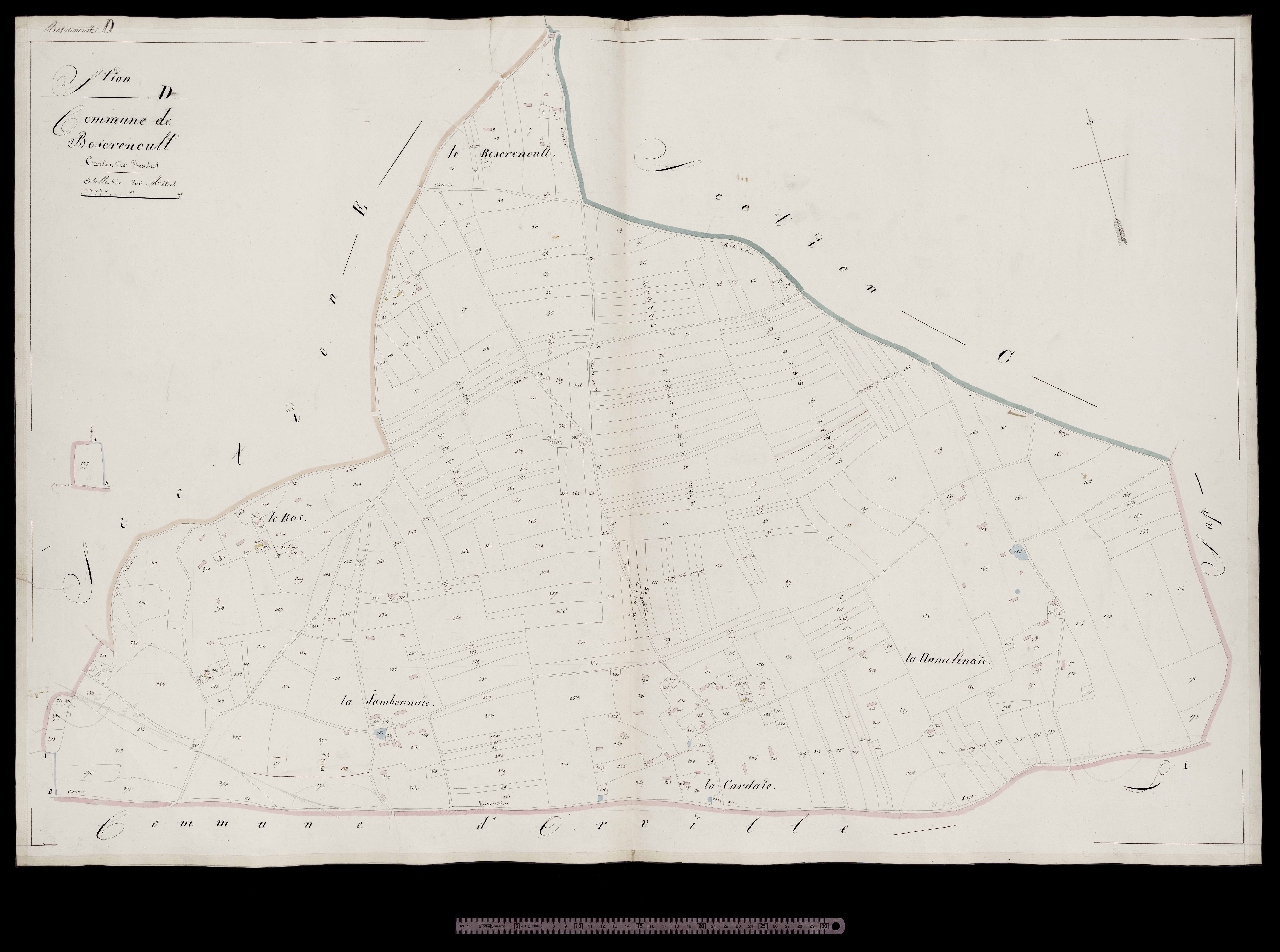Section D