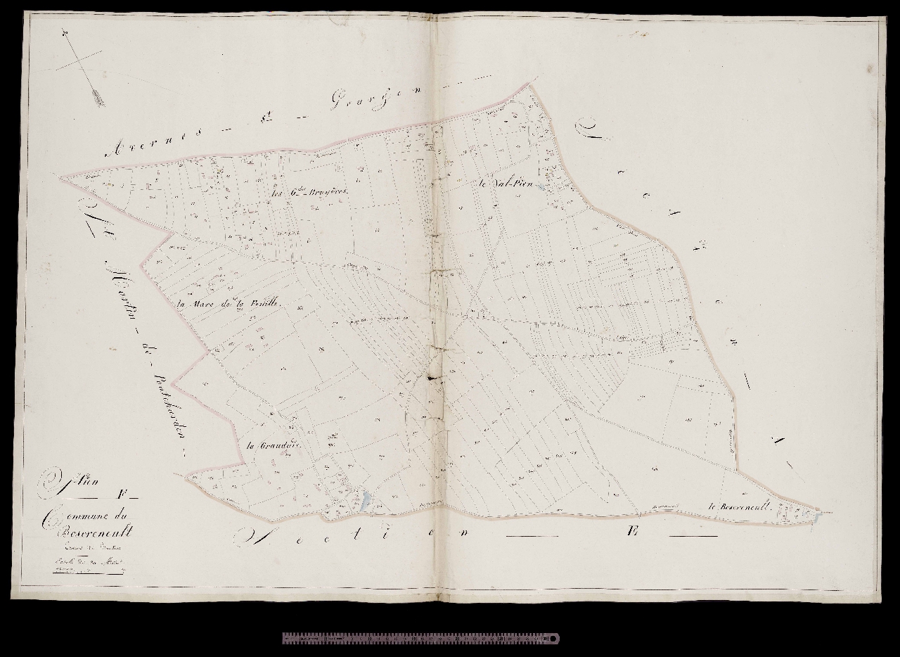 Section F