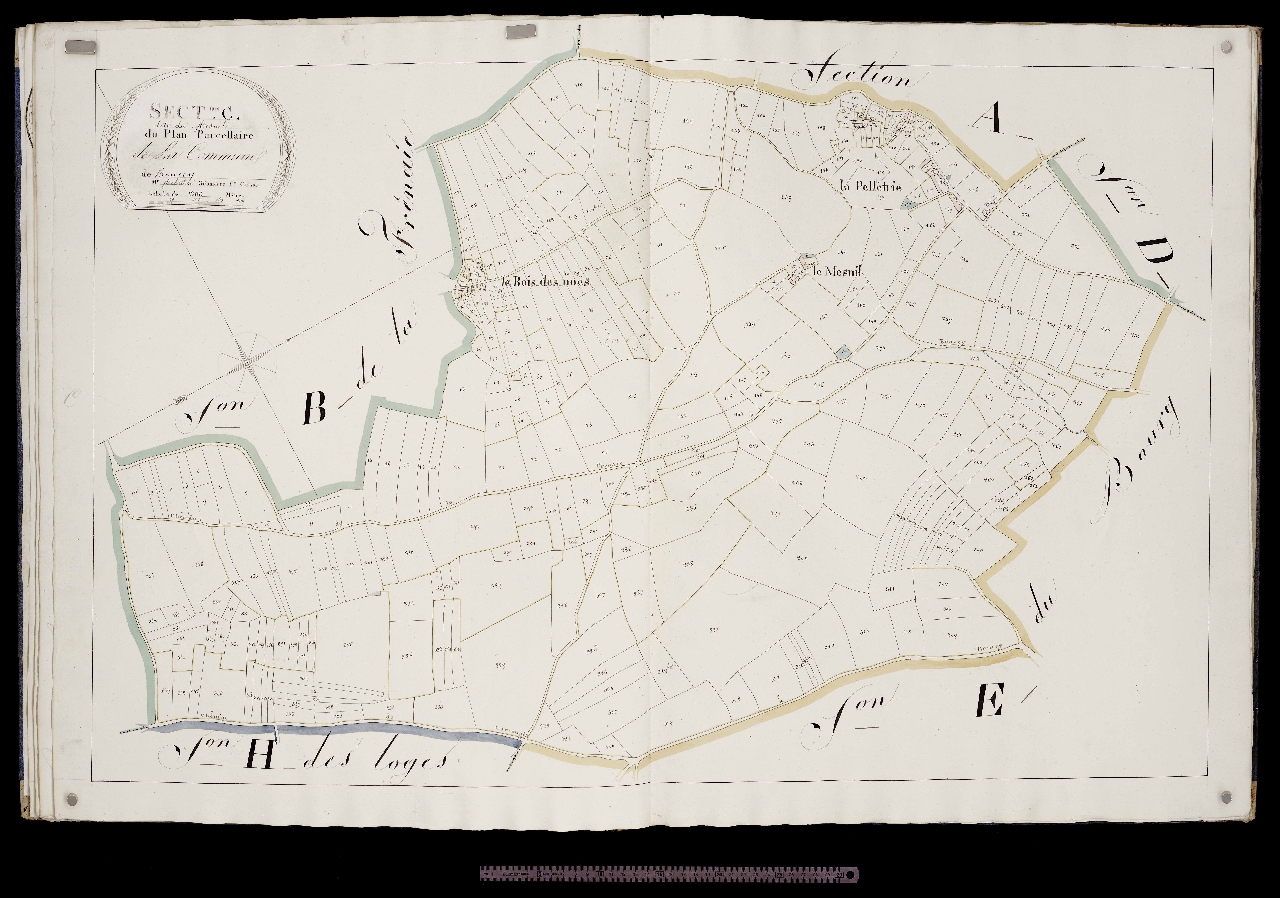 Section C