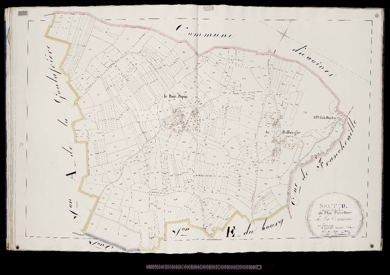 Section D
