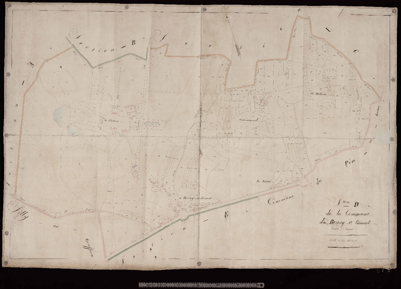Section D