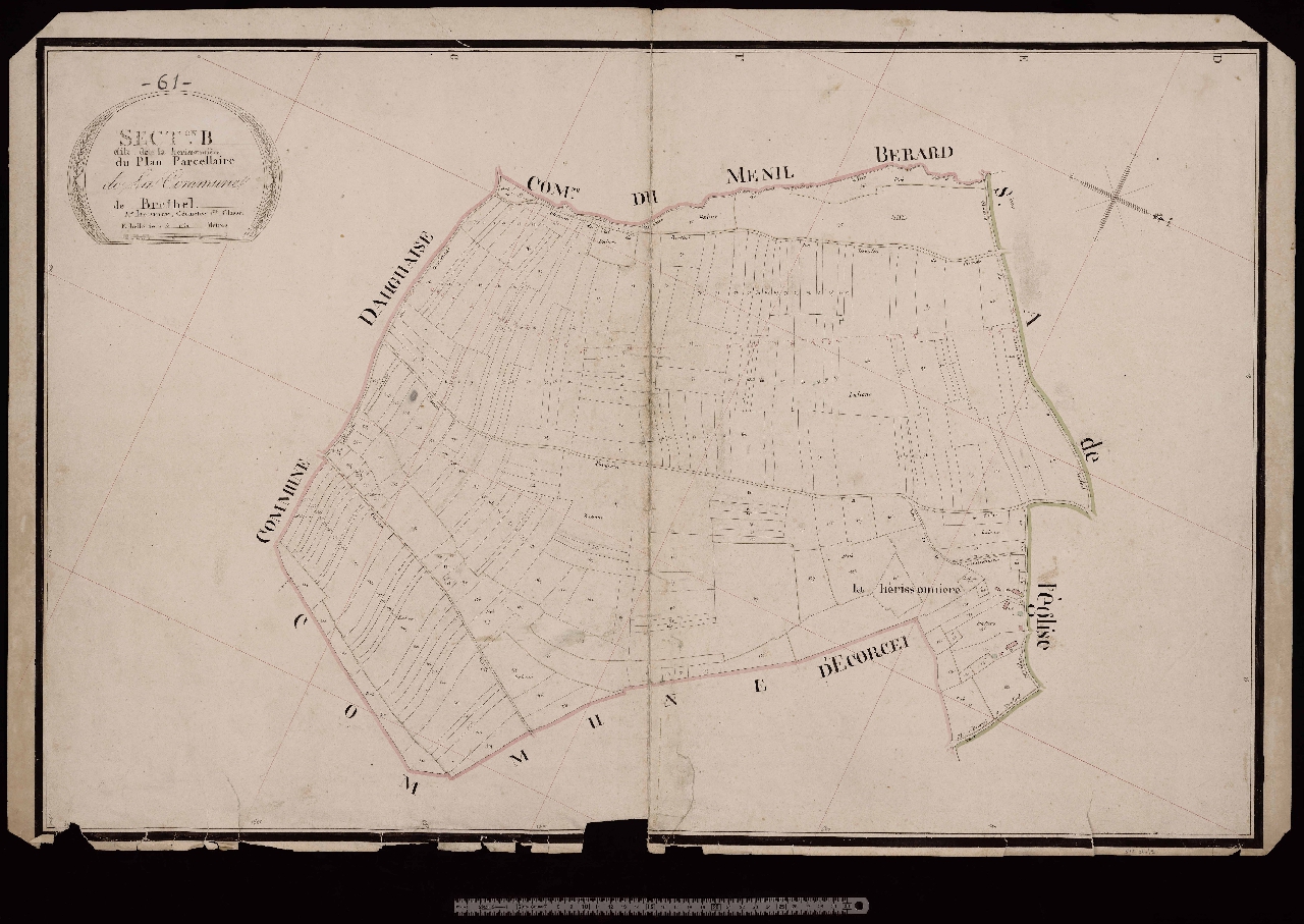 Section B