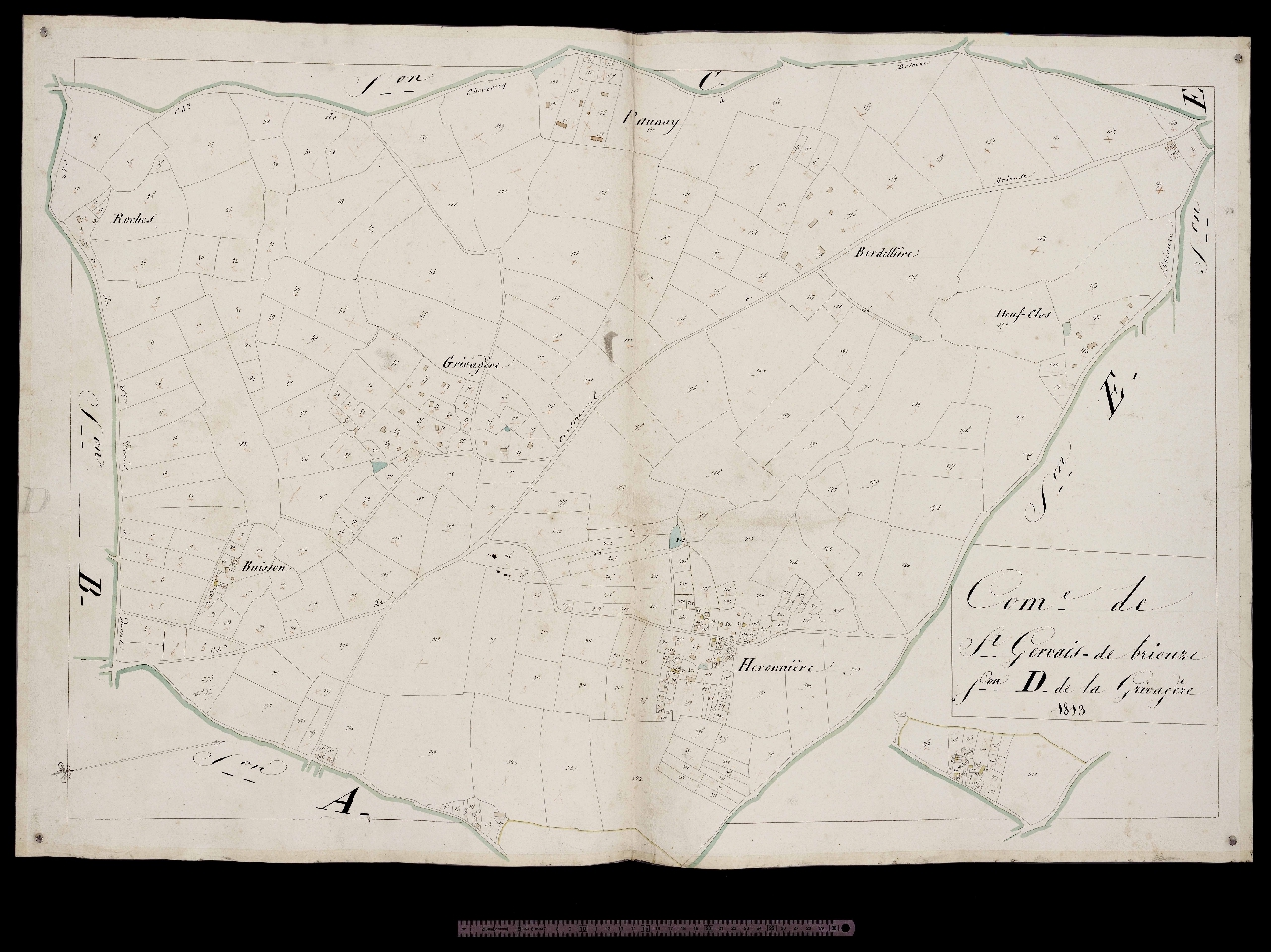Section D