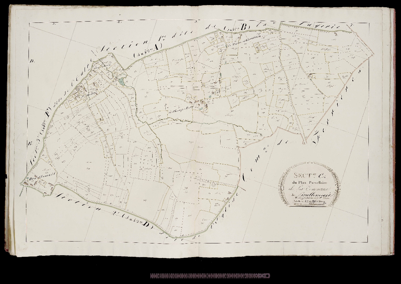 Section C