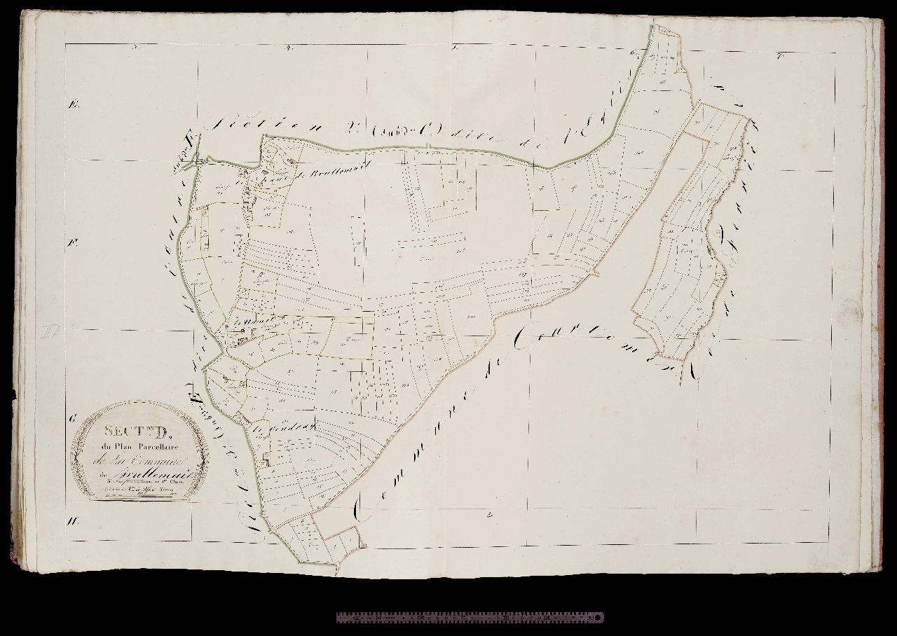 Section D
