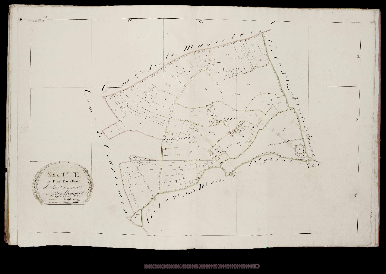 Section E