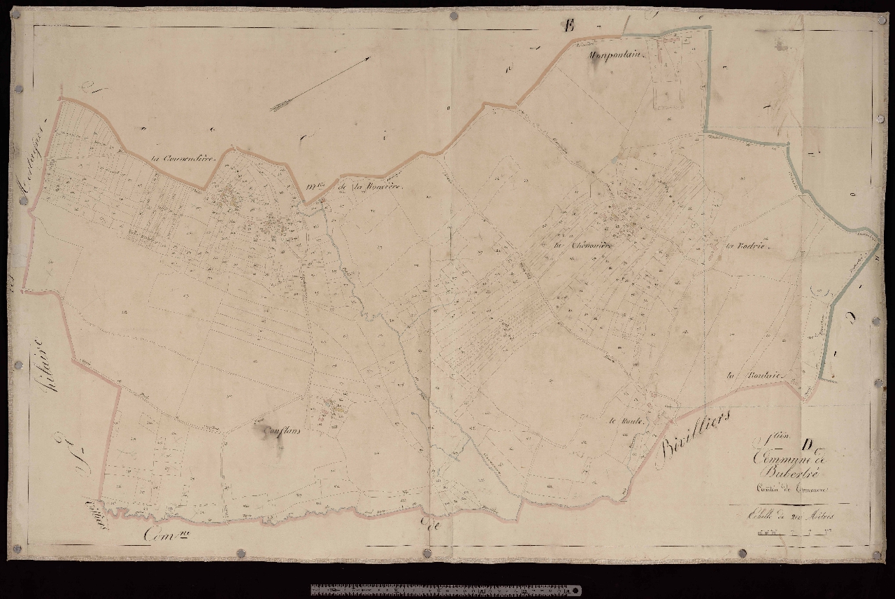 Section D