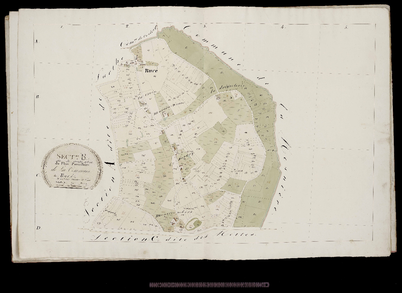 Section B