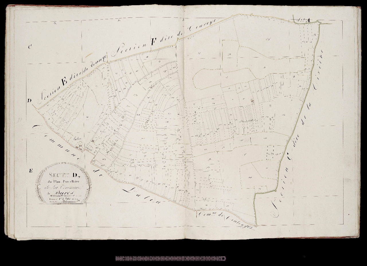 Section D