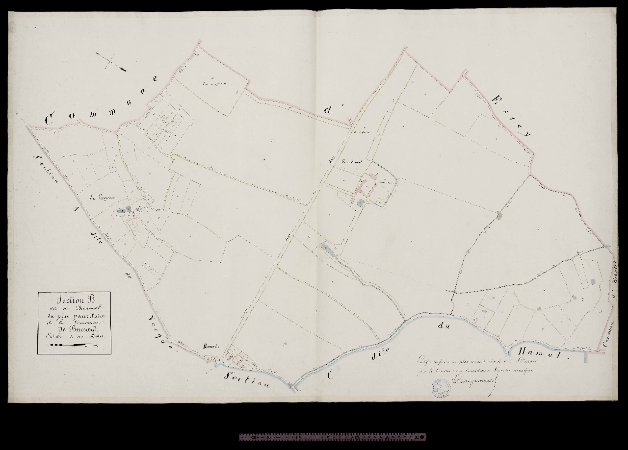 Section B